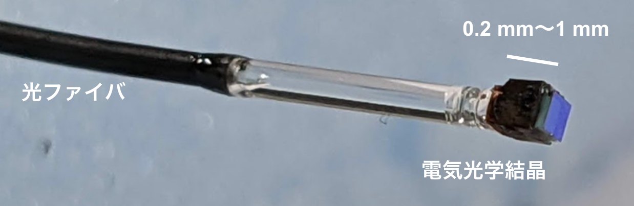 その場の電界を低擾乱にセンシングするプローブ。光ファイバ（黒い部分）の先端に装荷された電気光学結晶（0.2〜1mm角）により、被測定電界の情報が光信号に変換され、計測システムまで低ロスで伝送される。